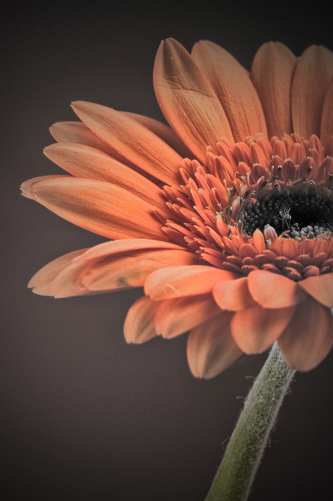 Comp 20120721 132 b2